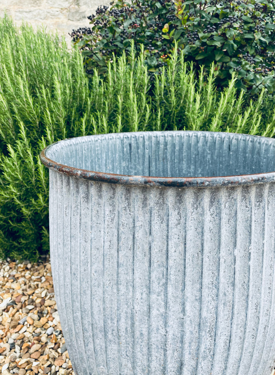 Vintage Dolly Tub Iris & Mabel Online